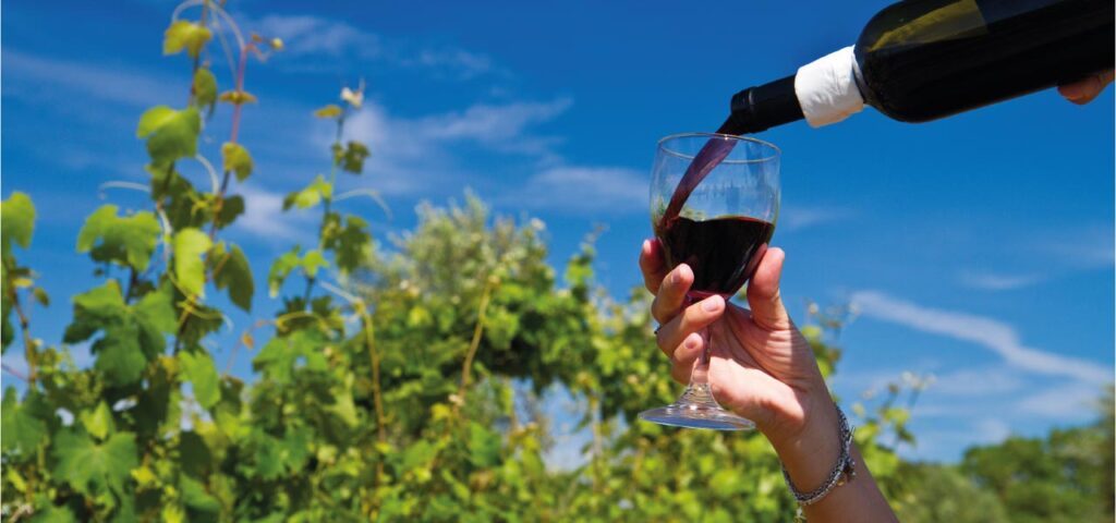 imagen-blog-dia-del-vino-chileno