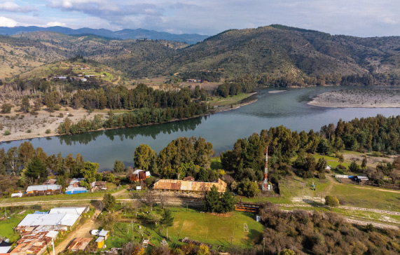 imagen-cepas-de-vino-pais-valle-principal