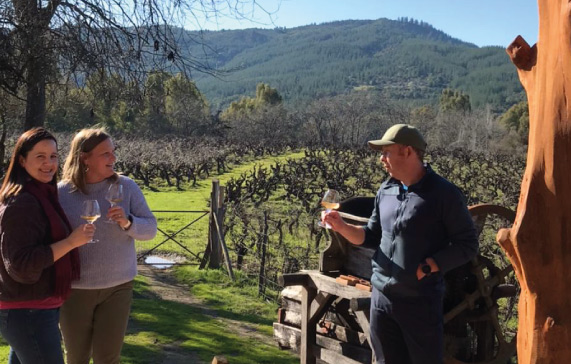 imagen-cepas-de-vino-semillon-segunda-principal