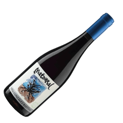 imagen-nuestros-vinos-pais-matorral